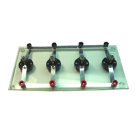 燈泡串並聯實驗組	